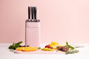 5 in 1 Stainless Steel Knife Set